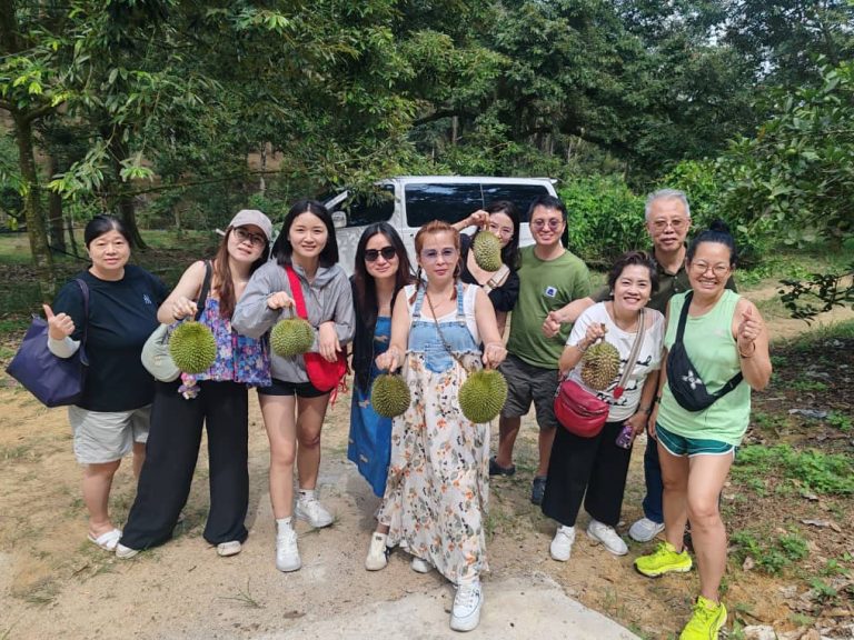 WhatsApp Image 2025-07-19 at 11.09.19_1a855f7b